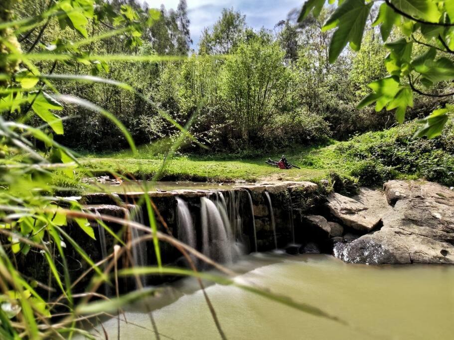 Hoja De Arce - Apartamento Rural Castro Urdiales Dış mekan fotoğraf