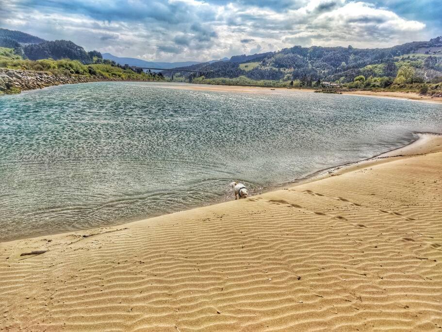Hoja De Arce - Apartamento Rural Castro Urdiales Dış mekan fotoğraf